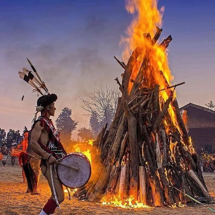 Hornbill Festival wildlife tour