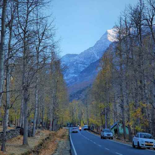 Buddhist Temple Sarnath